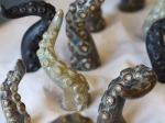 Les tentacules à poser